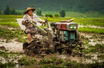 mandalay bhamo river cruises